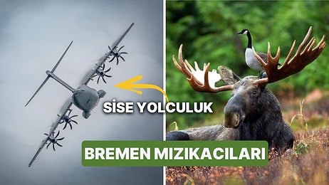 Fotoğraf Çekmek İsterken Yanlışlıkla Rönesans Tablosu Yaratan Kişilerden Muazzam Kareler