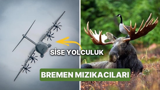 Fotoğraf Çekmek İsterken Yanlışlıkla Rönesans Tablosu Yaratan Kişilerden Muazzam Kareler