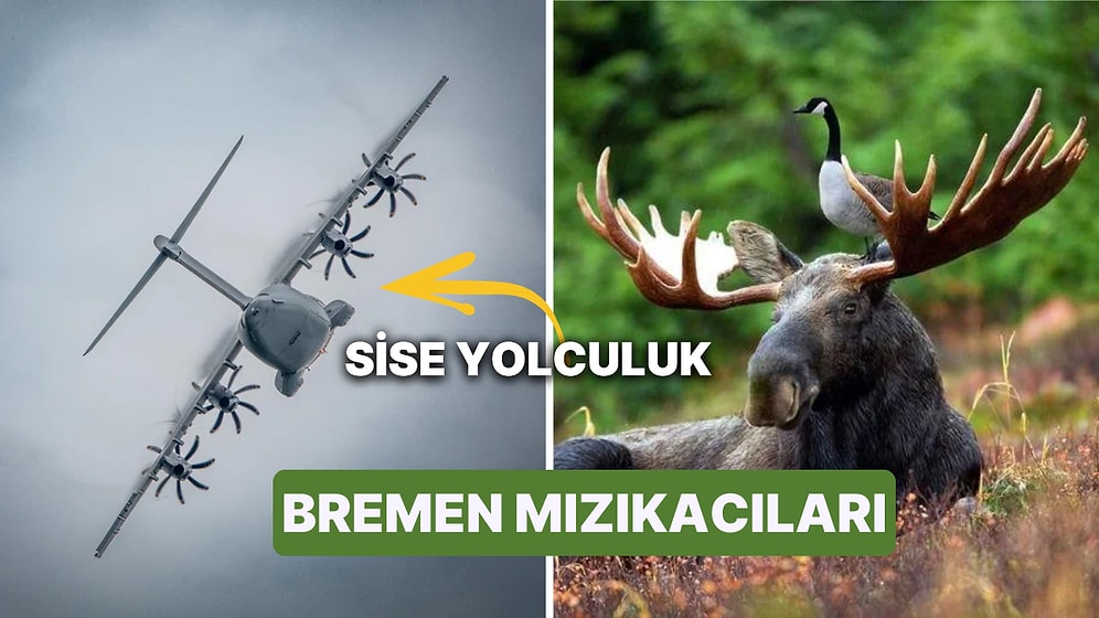 Fotoğraf Çekmek İsterken Yanlışlıkla Rönesans Tablosu Yaratan Kişilerden Muazzam Kareler