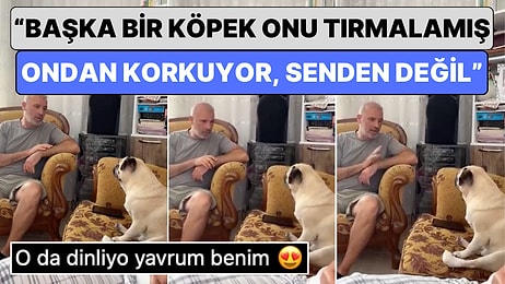 Günün En Tatlı Olayı: Eve Gelen Bebek Evin Köpeği Rıfkı’dan Korkunca Baba Rıfkı’nın İçini Ferahlatmaya Çalıştı