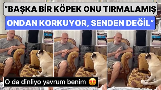 Günün En Tatlı Olayı: Eve Gelen Bebek Evin Köpeği Rıfkı’dan Korkunca Baba Rıfkı’nın İçini Ferahlatmaya Çalıştı