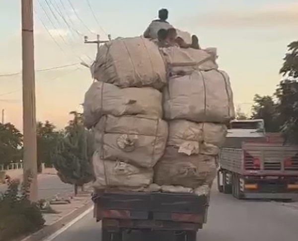 İlçe merkezi çıkışında seyreden bir kamyonetin kasasındaki çuvalların üzerinde yolculuk yapan dört çocuk, dikkat çekti. Çuvalların üzerinde giderken elektrik tellerine çarpmamak için başlarını eğen çocuklar, görenleri korkuttu.