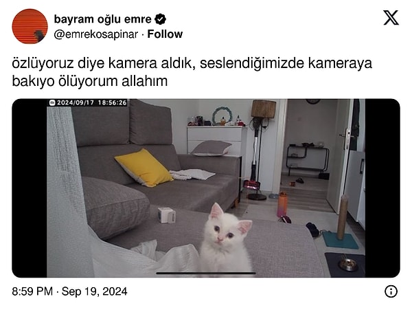 Şuradan devam...