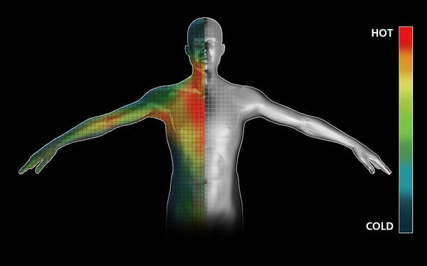 Bu yüzden vücut, ürettiği fazla enerjiyi dışarıya atamaz ve bu da aşırı sıcaklık hissine yol açar. Vücudumuz, en verimli şekilde yaklaşık 21°C ortam sıcaklığında çalışır.