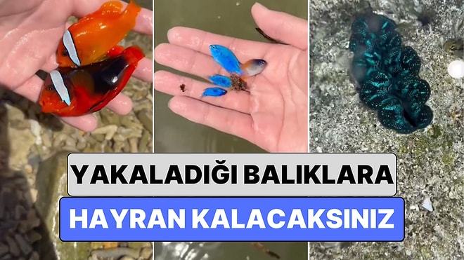 Sadece Belgesellerde Görebileceğiniz Balıkların Peşine Düşen Adamın Yakaladığı Balıklara Hayran Kalacaksınız