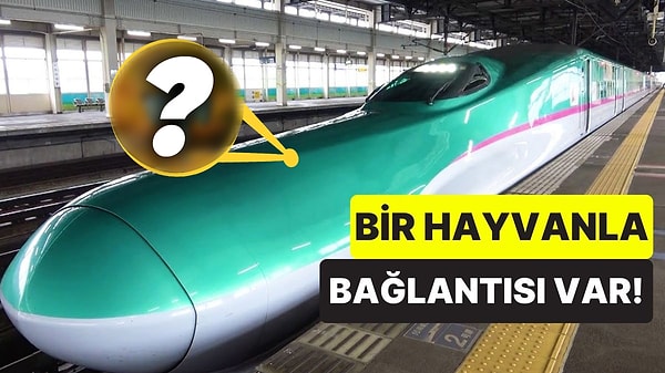 11. Japonya’nın Yüksek Hızlı Trenlerinin Ön Kısmı Neden Bu Kadar Uzun? Doğadan İlham Alınmış!