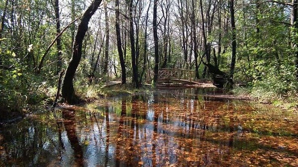 5. Marmaris Milli Parkı