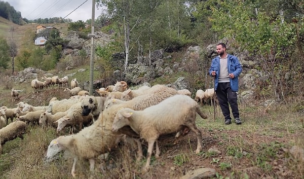 En büyük hayali kaymakamlık olan Özer, mülakat aşamasında elenince memleketi Artvin Yusufeli’ne dönerek tarım ve hayvancılıkla uğraşmaya başladı. 2020'de 12 koyunla başladığı hayvancılıkta, dört yıl içinde sürüsünü 100 koyuna çıkardı.