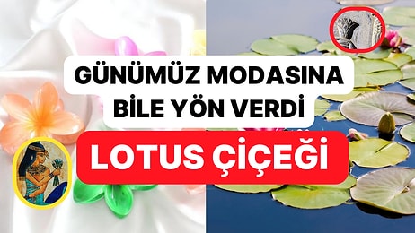 Sadece Çiçek Deyip Geçmeyin: Antik Dönemlerden Günümüze İlham Veren, Sırlarla Dolu Lotus Çiçeği