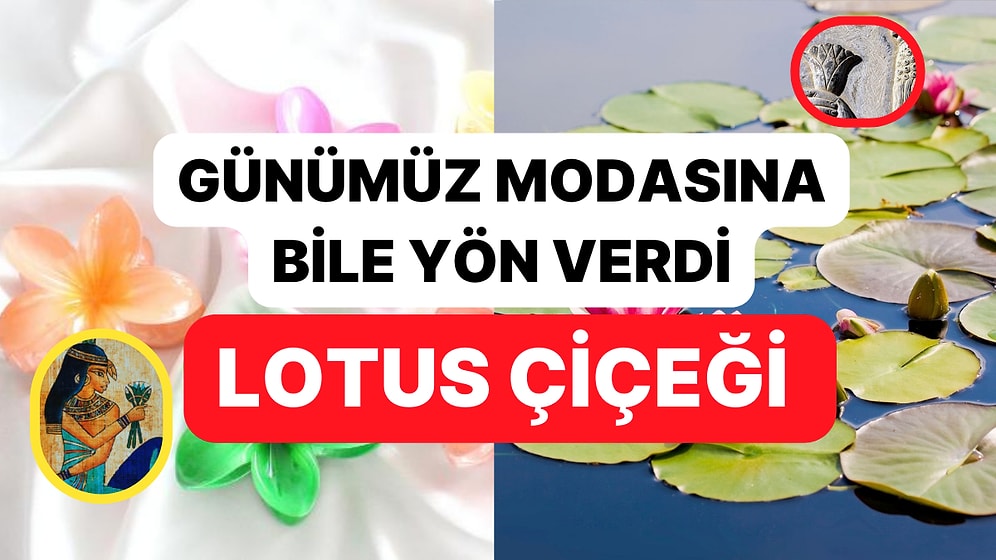 Sadece Çiçek Deyip Geçmeyin: Antik Dönemlerden Günümüze İlham Veren, Sırlarla Dolu Lotus Çiçeği