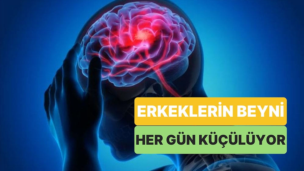 Erkeklerin Beyni Her Gün Saat 20.00'de Küçülüyor