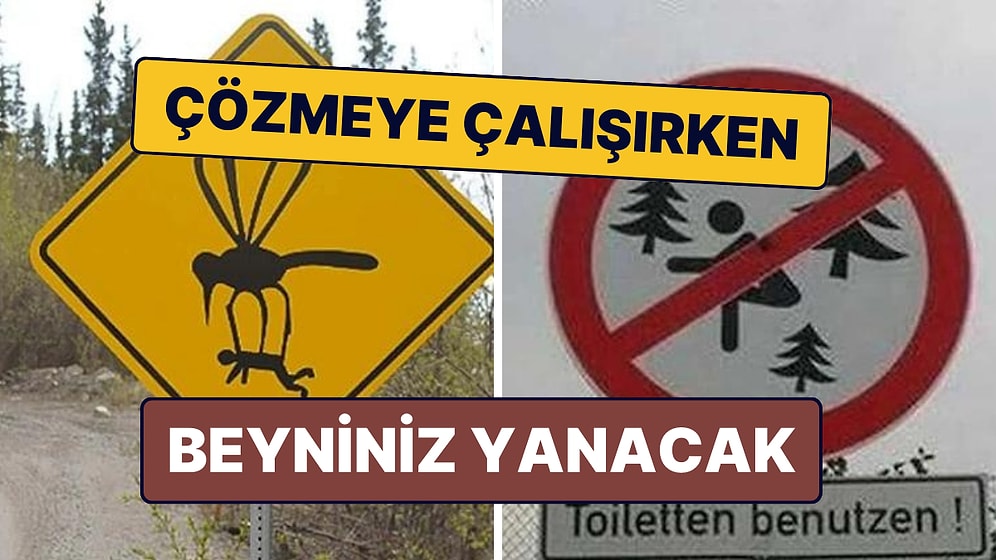 Hangi Kafayla Yazıldıklarını Çözmeye Çalışırken Beyninizin Yanacağı 15 Levha