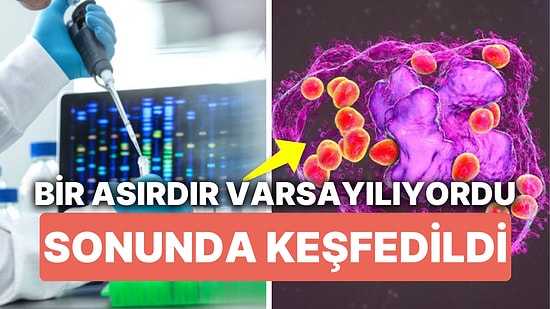 Bir Asırdır Varsayılan Hücre Keşfedildi! Kronik Hastalıkların Tedavi Yaklaşımlarını Değiştirebilir!