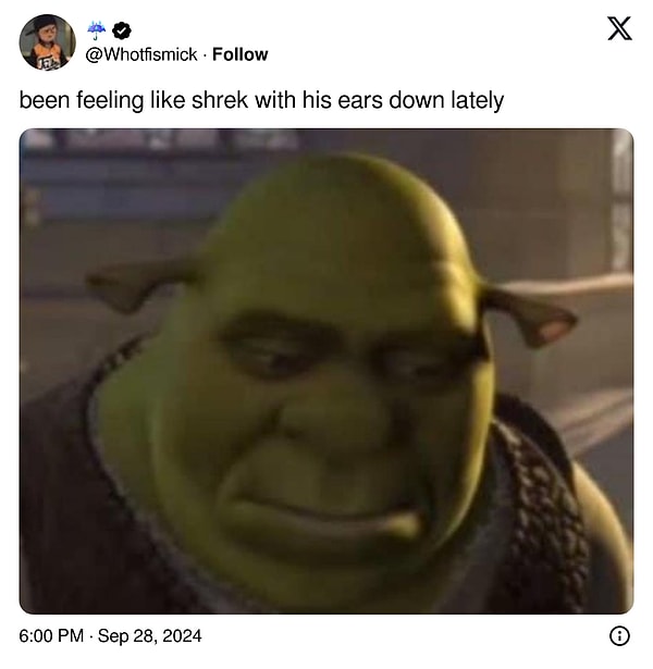 5. "Şu sıralar kulakları eğilmiş Shrek gibi hissediyorum"