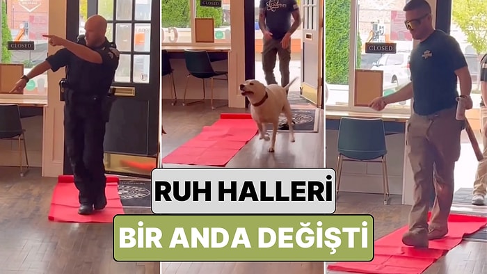 Duruma Hemen Uyum Sağladılar: Bir Kahve Dükkanı Müşterilerine Kırmızı Halıyla Küçük Bir Sürpriz Yaptı