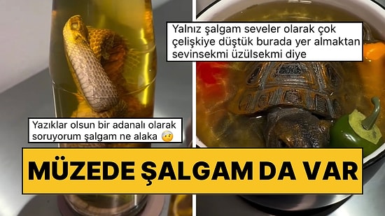 Berlin’de Yemek Müzesinde Sergilenenleri Görmeyi Mideniz Kaldırmayacak