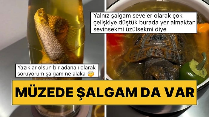 Berlin’de Yemek Müzesinde Sergilenenleri Görmeyi Mideniz Kaldırmayacak