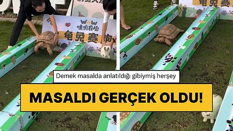 Kaplumbağa ve Tavşan Adlı Meşhur Masal Uzak Doğu’da Gerçek Oldu