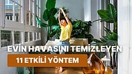 Evinizin Havasını Temizleyecek 11 Şey