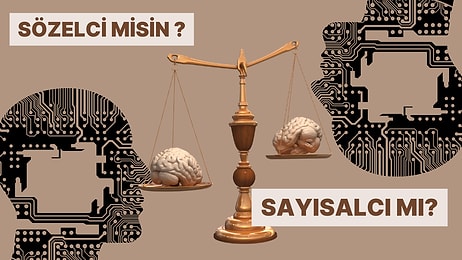 Senin Zekan Sözel mi Sayısal mı?