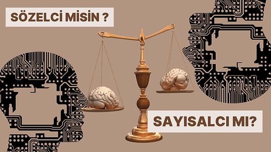 Senin Zekan Sözel mi Sayısal mı?