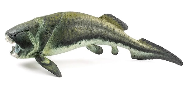 3. Dunkleosteus terrelli: Zırhlı Dev Balık