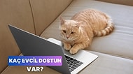 Evinde Kaç Evcil Hayvan Olduğunu Tahmin Ediyoruz!