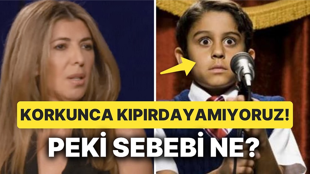 İçgüdüsel Bir Sebebi Varmış! Korktuğumuzda Neden Kaskatı Kesiliriz?