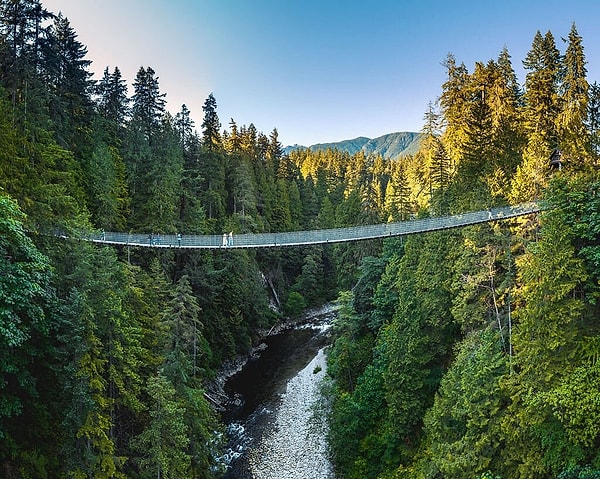 Capilano Suspension Bridge