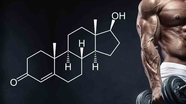 Testosteron seviyelerinin düzenlenmesi, cinsel dürtü, kemik sağlığı ve kas kütlesi gibi hayati işlevleri de etkiliyor. Bu dengeyi bozmak, potansiyel yan etkiler yaratabiliyor.