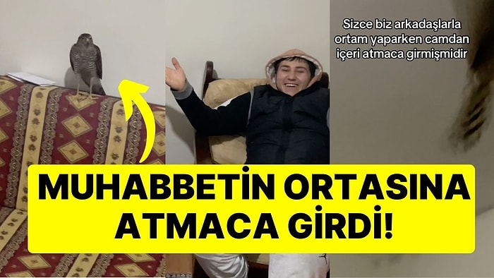 Odasına Atmaca Giren Gençler Neye Uğradığını Şaşırdı: Uçunca Ne Yapacaklarını Bilemediler