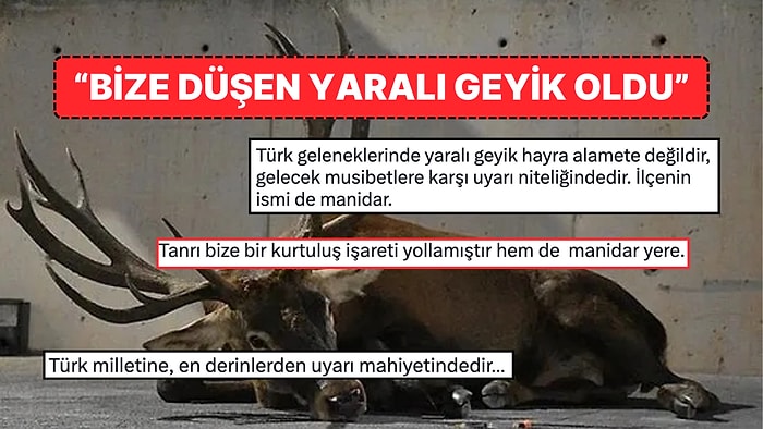 Kemalpaşa'da Ortaya Çıkan Yaralı Geyik Alametleri Kafa Karıştırdı "Ya Kurtuluş Yakındır, Ya Kıyamet!"