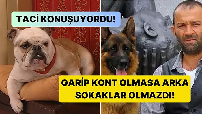 Dizilerde Hayvanları Nasıl Oynatıyorlar?