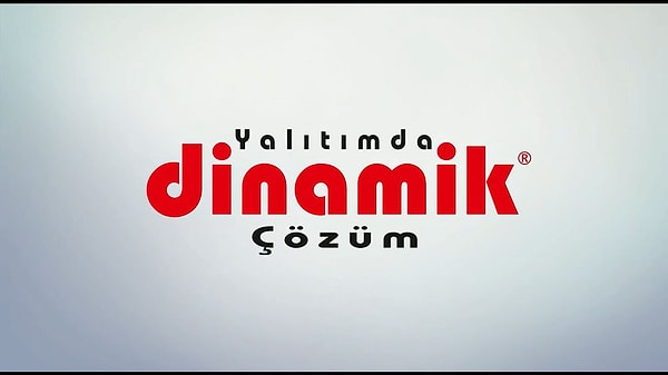 2. Dinamik Isı Makina Yalıtım Malzemeleri Sanayi ve Ticaret A.Ş. (DNISI)