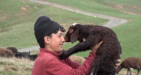 Mavi Dil Hastalığı İnsana Bulaşır mı?