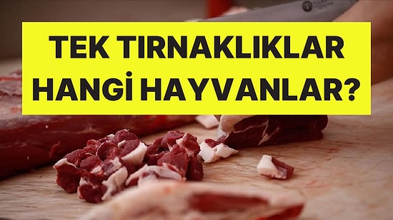 Tek Tırnak Eti Nedir? Tek Tırnaklı Hayvanlar Hangileri, Neden Yenmez?