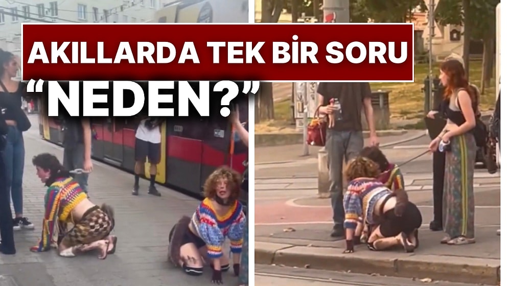 Almanya Sokaklarında Boyunlarında Tasmayla Havlayarak Gezdiler