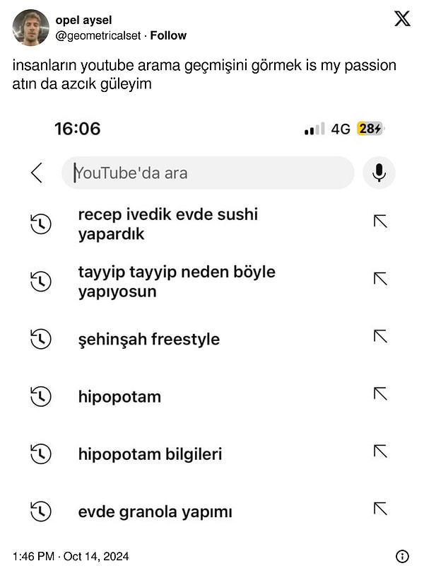 Bir kullanıcı da diğer kullanıcıların YouTube'da neler arattığını merak etti.