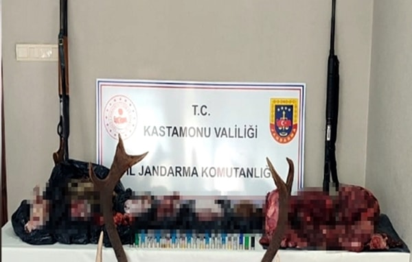 Yapılan aramalarda, 1 geyik kafası ve 1 geyik postu ile 36 kilo 100 gram geyik eti, 14 kilo 400 gram geyik etinden yapılmış sucuk, 5 kilo 930 gram tavşan eti, 2 av tüfeği ve 32 fişek ele geçirildi.