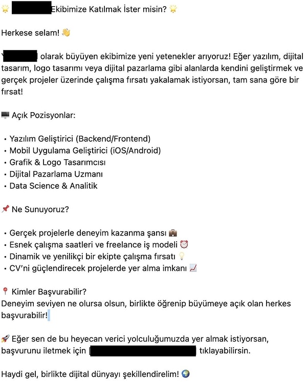 Bir genç, iş ilanının açıklama kısmında "gönüllü" olduğu belirtilmeyen bir işe başvuru yaptı. İş ilanında, "yazılım geliştirici, mobil uygulama geliştirici, grafik tasarımcı, pazarlama uzmanı" gibi bilgi ve deneyim gerektiren pozisyonlar vardı.