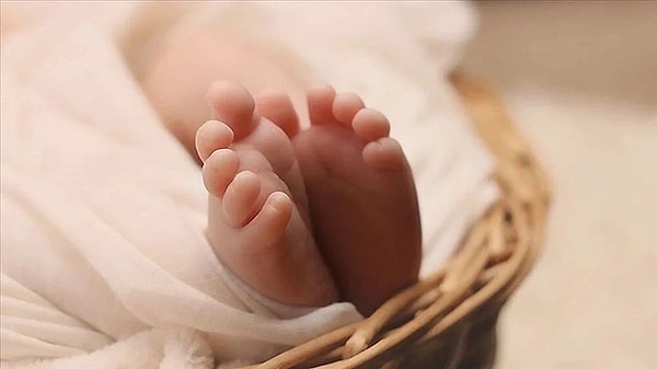 ''Bu işlemlerde hastanenin bu yeni doğan bebekler için uygun olup olmadığına bakmadan sadece para kazanmak için bebeklerin canını tehlikeye atarak hastanelere sevkini yapıyor'' diyen Hakan Doğukan Taşcı sözlerine şöyle devam etti: ''Ben Birinci Hastanesi'nde çalıştığım dönemlerde Şeyhmus Çelik isimli doktorun yerine epikriz yazdım. Düzenlemeler yaptım. Bu işlemleri yaptığımdan Şeyhmus Çelik isimli doktorun ve Fırat Sarı'nın haberi vardır. Hasan Basri ile birlikte Curusorf isimli ilacın usulsüz olarak satışını yaparak gelir elde ettik. Ben yaptığım tüm işlemlerden ötürü pişmanım."