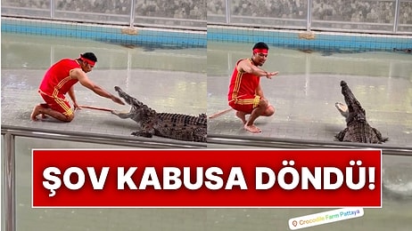 Timsah Bakıcısı, Şov Yapmak İçin Timsahın Ağzına Elini Soktu Ancak Sonuç Kabus Oldu