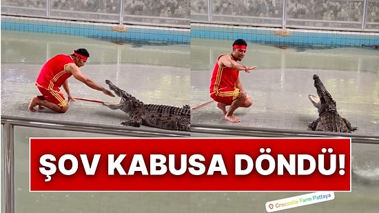 Timsah Bakıcısı, Şov Yapmak İçin Timsahın Ağzına Elini Soktu Ancak Sonuç Kabus Oldu