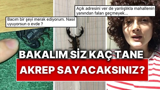 Akreplerle Dolu Bir Hayat! Evine Giren Akrepleri Adeta Evcilleştiren Kadın