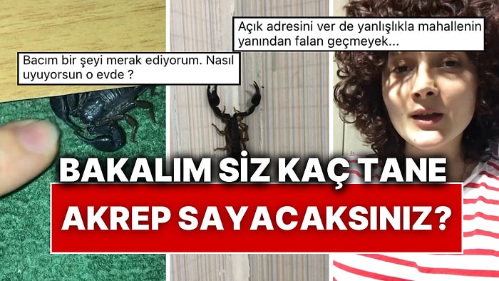 Akreplerle Dolu Bir Hayat! Evine Giren Akrepleri Adeta Evcilleştiren Kadın