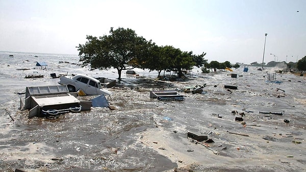 Devasa deprem, Sumatra açıklarında denizin altında yer alan bir fay hattında gerçekleşti. Tetiklediği tsunami, Endonezya, Tayland, Sri Lanka ve Hindistan gibi birçok ülkenin kıyılarına korkunç bir hızla ulaştı.