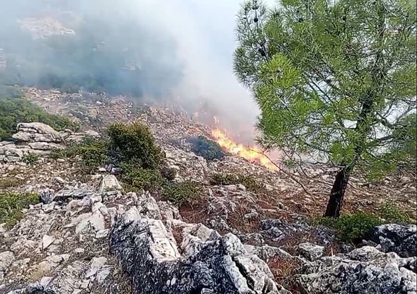 Denizli Valisi Ömer Faruk Coşkun, orman yangını hakkında yaptığı açıklamada ise, "Yangın bölgesinin sarp ve kayalık olması ve yol olmamasından dolayı yangın mahalline arazöz ve itfaiye araçlarıyla ulaşılamamaktadır. Yangın bölgesine yaya olarak ulaşan toplam 524 personel ve orman gönüllüsü ile karadan ve havadan müdahale edilmektedir. Orman Bölge Müdürlüğümüzün koordinasyonunda 6 helikopter, 10 arazöz, 15 su ikmal aracı, 12 ilk müdahale aracı, 31 hizmet vasıta aracı, 5 iş makinesi ile müdahaleye devam edilmektedir. Ayrıca 1 AFAD ekibi, 4 kişilik UMKE, 3 kişilik 1 ambulans 3 kişi tedbir amaçlı bölgede bulunmaktadır” ifadelerine yer verirken, müdahale edilen yangın bölgesinin yerleşim yerlerine yakın olmadığını ve aynı zamanda söndürme çalışmalarına tüm birimlerin devam ettiğini aktardı.