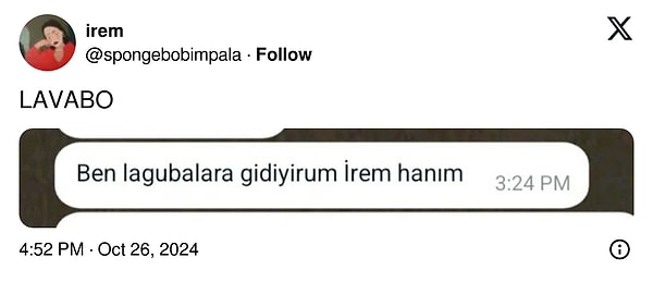 Görmemezlikten gel İrem Hanım