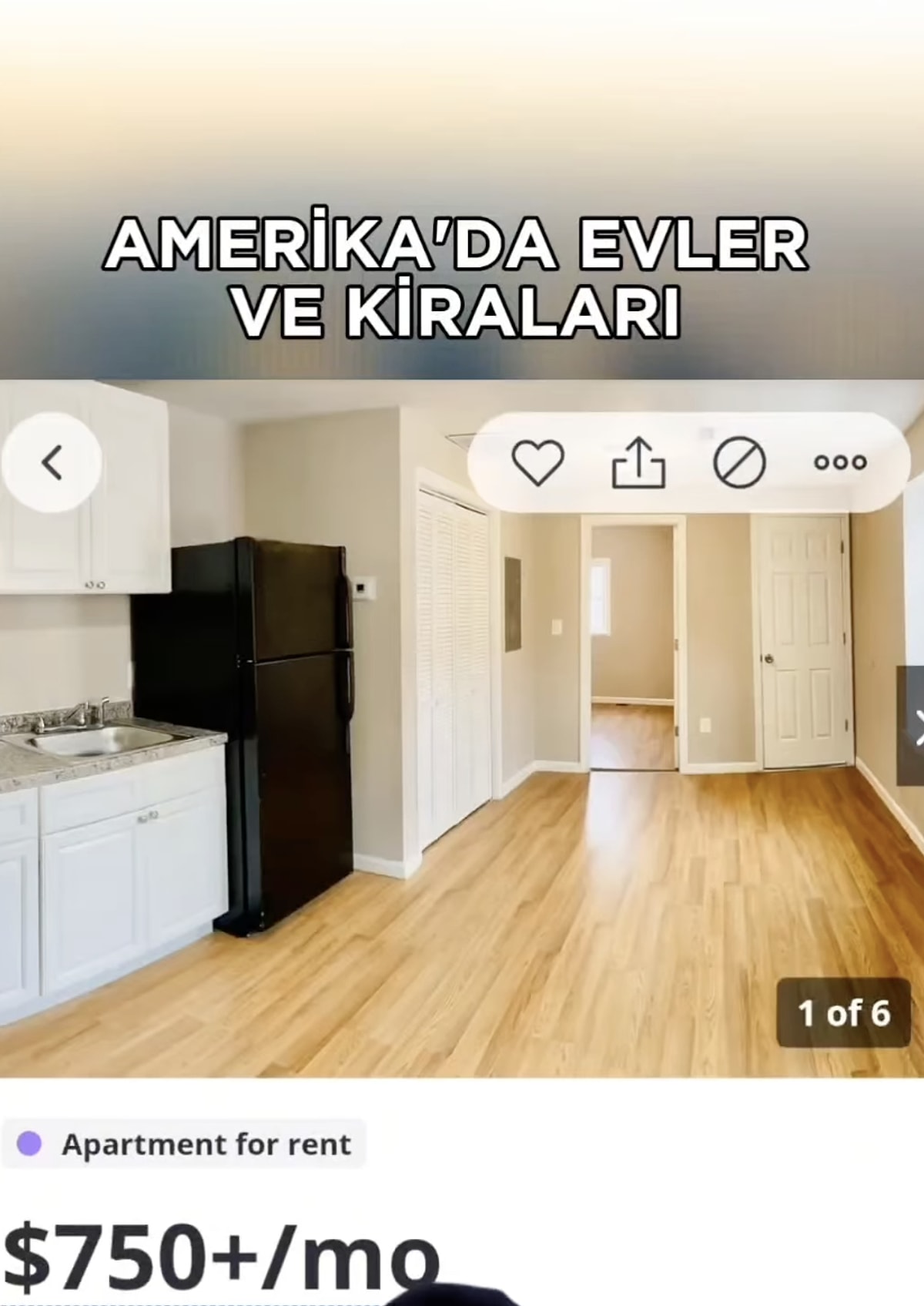 Amerika Ve T rkiye deki Kiral k Ev Fiyatlar n Ve Ko ullar n amerika-ve-t-rkiye-deki-kiral-k-ev-fiyatlar-n-ve-ko-ullar-n