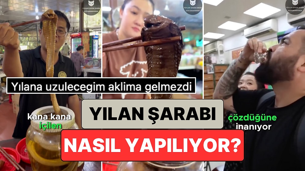 Sonunda Tarifi Geldi: Pek Çok Asya Ülkesinde Meşhur Olan Yılan Şarabı Nasıl Yapılıyor?